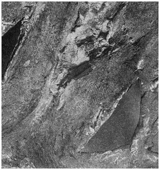 Ремесло древней Руси - i_055.jpg