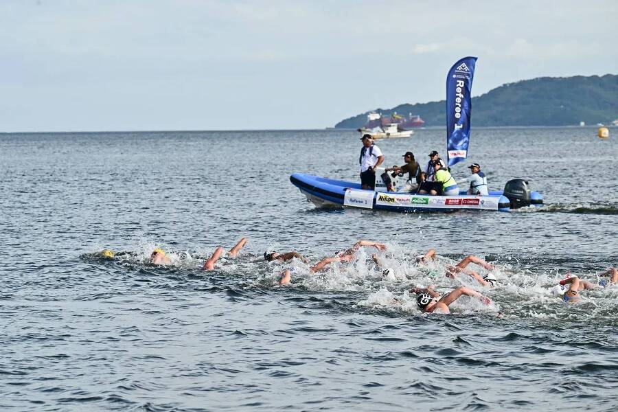 A comprehensive manual for elite open water swimmers - _2.jpg