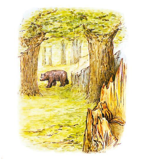 Зимняя книга кролика Питера - i_051.jpg