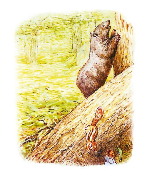 Зимняя книга кролика Питера - i_052.jpg