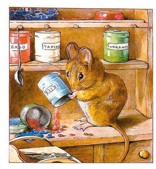 Зимняя книга кролика Питера - i_068.jpg