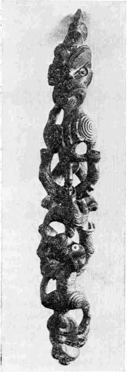 Кунсткамера - i_006.jpg