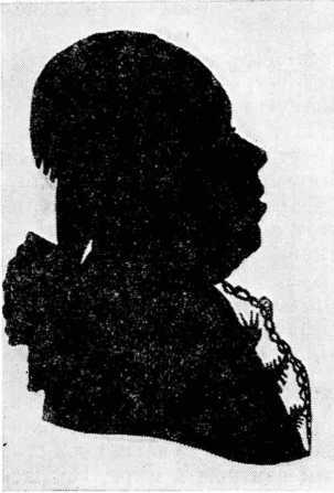 Кунсткамера - i_008.jpg