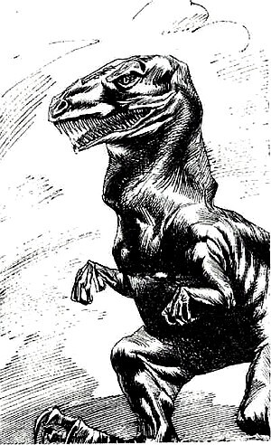 "Фантастика 2023-156". Компиляция. Книги 1-20 (СИ) - i_029.jpg