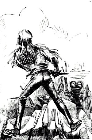 "Фантастика 2023-156". Компиляция. Книги 1-20 (СИ) - i_030.jpg