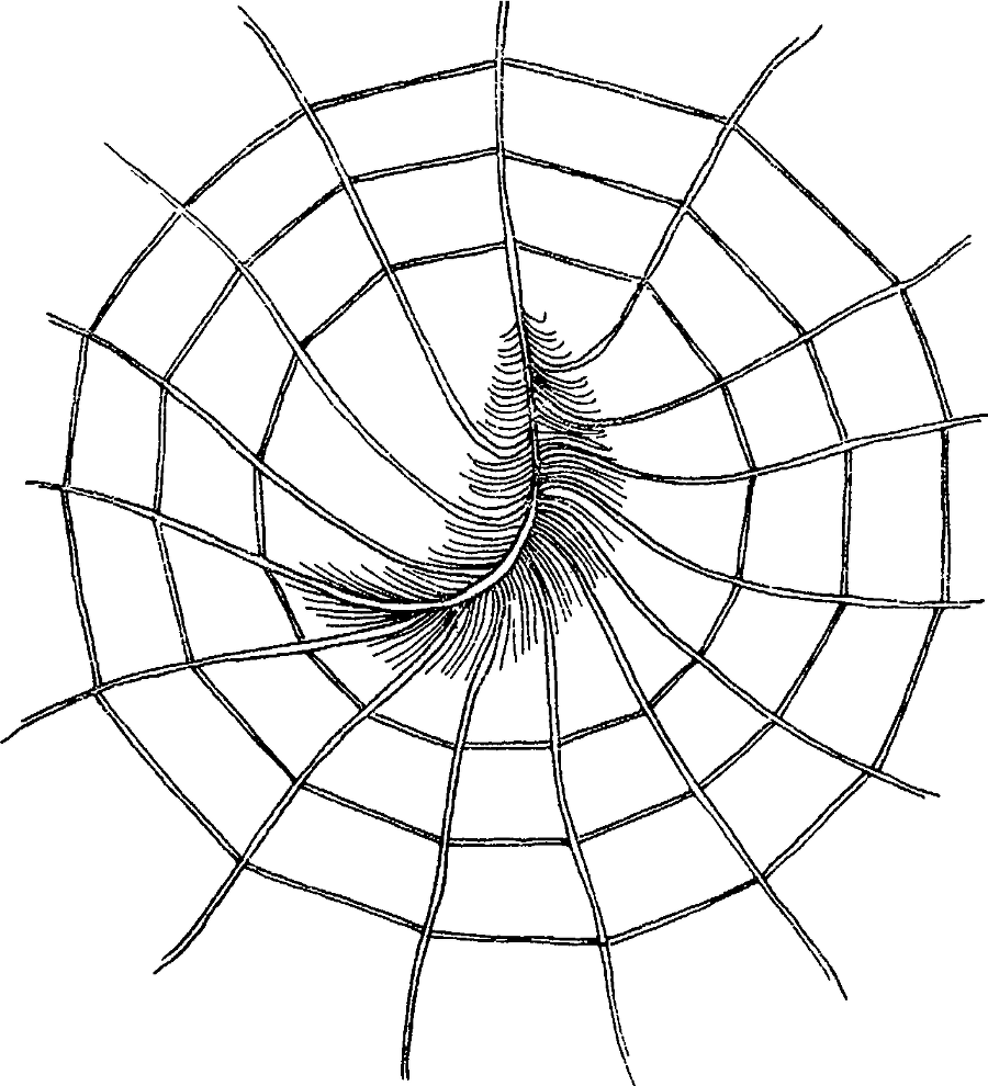 Под знаком кванта - image30.png