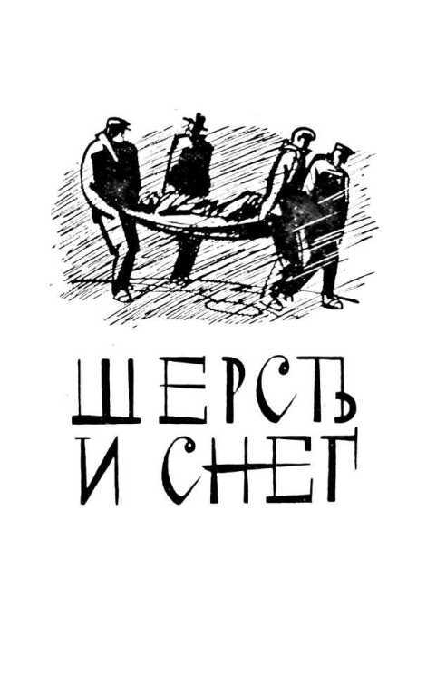 Шерсть и снег - i_003.jpg