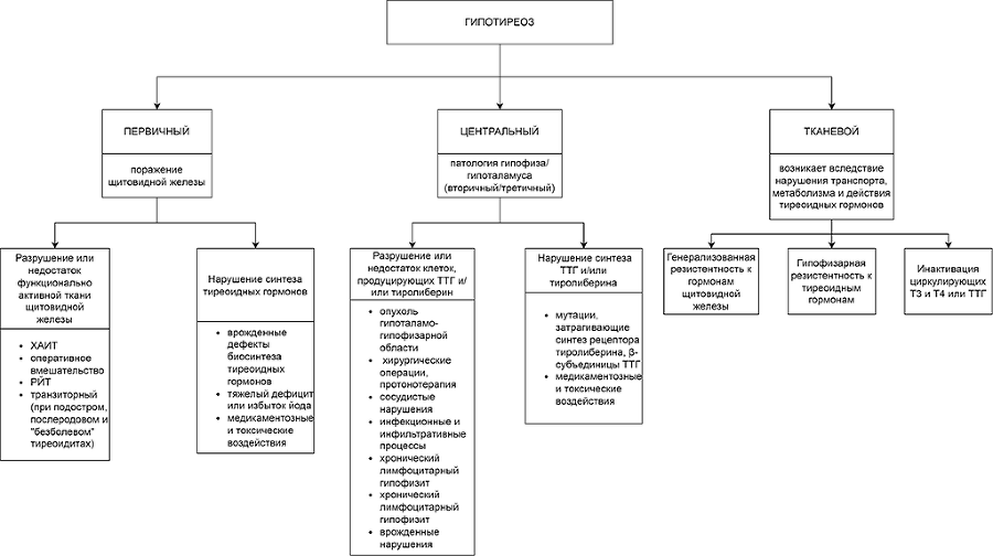 Диагностика в эндокринологии - i_014.png