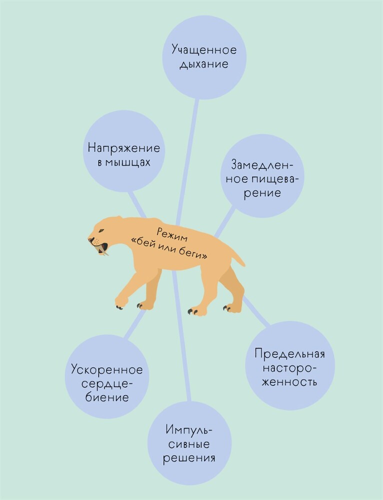 Книга любви к себе: Терапевтическая стратегия поддержки и принятия себя - i_023.jpg