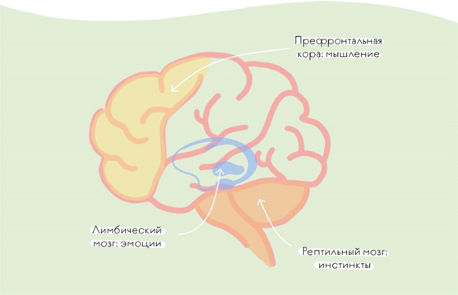 Книга любви к себе: Терапевтическая стратегия поддержки и принятия себя - i_032.jpg