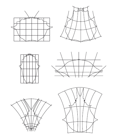 Огарок во тьме. Моя жизнь в науке - i_013.png