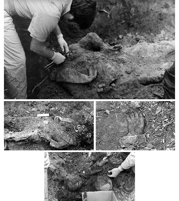 Американские трагедии. Хроники подлинных уголовных расследований XIX-XX столетий. Книга VII - i_033.jpg