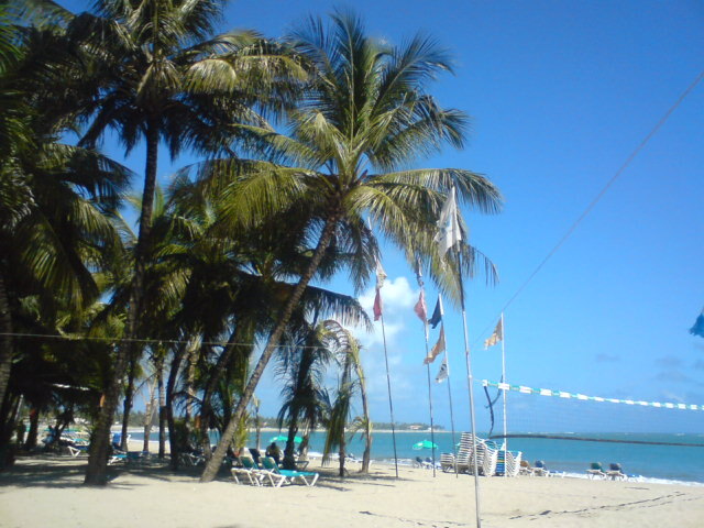 SEÑOR LOCO - _0.jpg