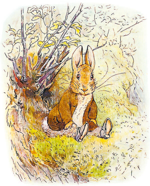 Приключения кролика Питера - i_012.jpg