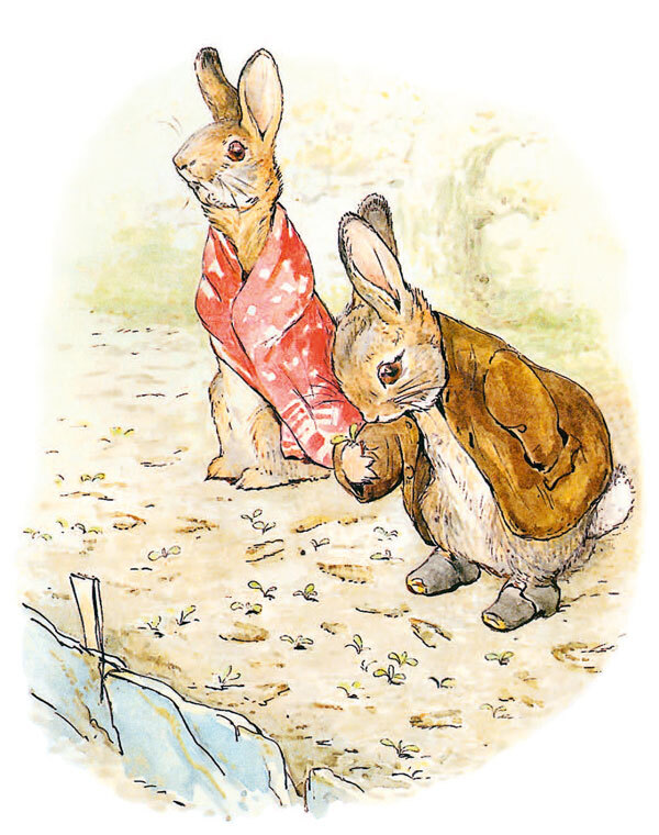 Приключения кролика Питера - i_015.jpg