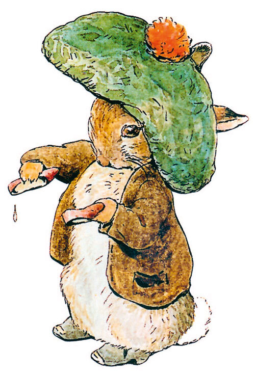 Приключения кролика Питера - i_016.jpg