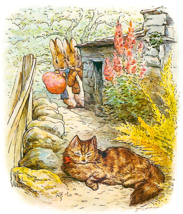 Приключения кролика Питера - i_017.jpg