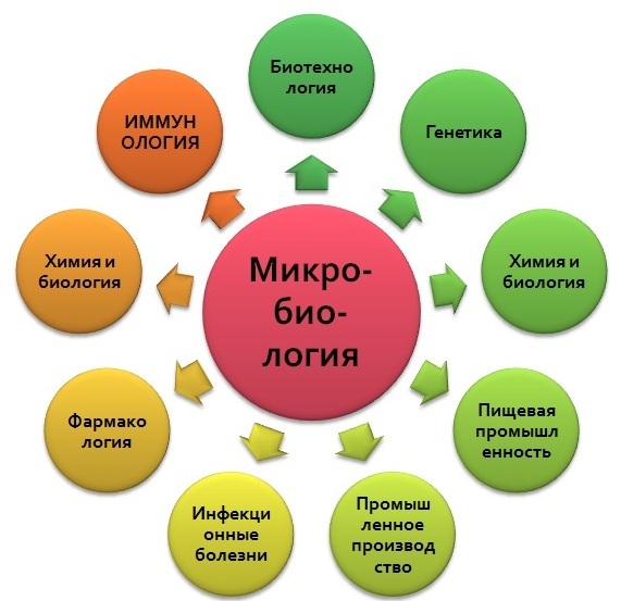 Микробушки. Взгляд в бесконечность, полную жизни - _0.jpg