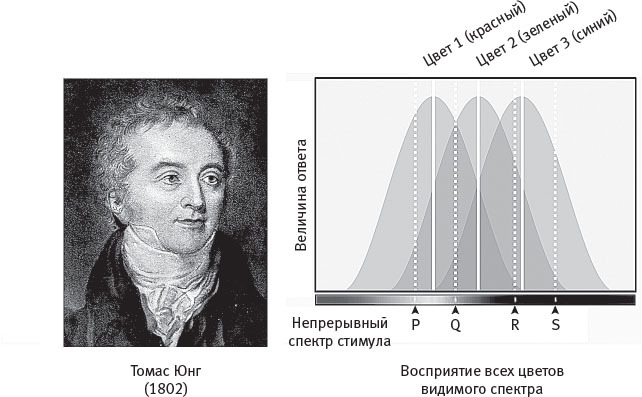 Истинный творец всего. Как человеческий мозг сформировал вселенную в том виде, в котором мы ее воспринимаем - i_015.jpg