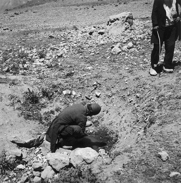 Смерть в Персии - i_004.jpg