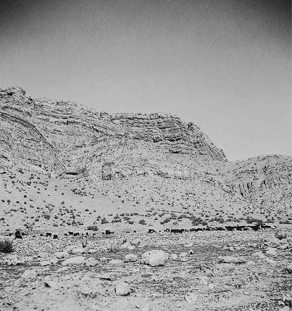 Смерть в Персии - i_006.jpg