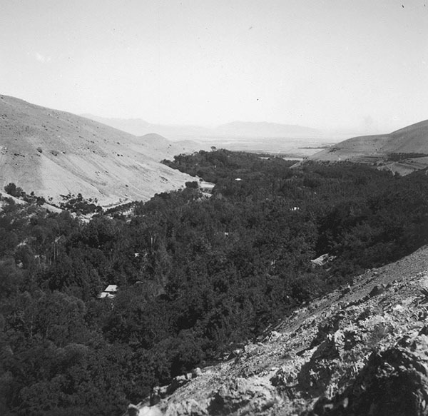 Смерть в Персии - i_013.jpg