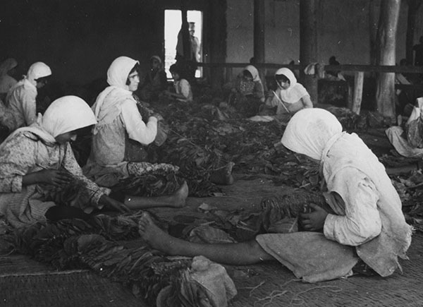 Смерть в Персии - i_015.jpg