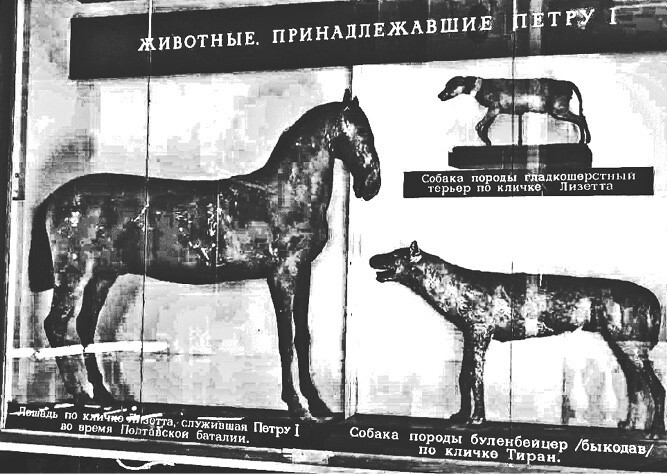 Петр I. Том 1 - i_023.jpg