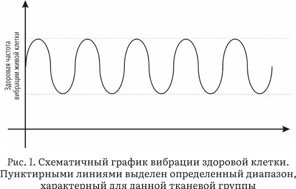 Астрология и здоровье. Ваш помощник в диагностике и лечении - i_006.jpg