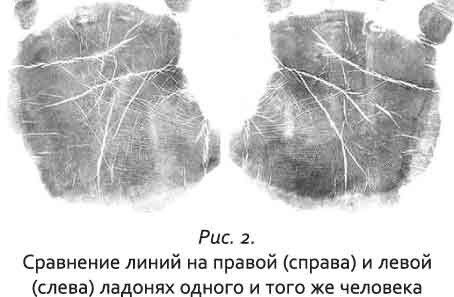 Неповторимый узор судьбы. Руководство по хирологии. Часть 1. Уровень подмастерья. - i_002.jpg