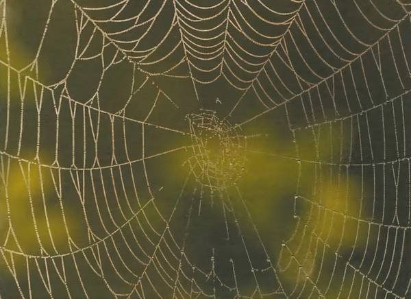 Из чего всё сделано? Рассказы о веществе - _109.jpg