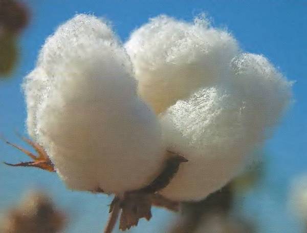 Из чего всё сделано? Рассказы о веществе - _110.jpg