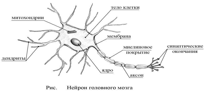 Реальность - _5.jpg