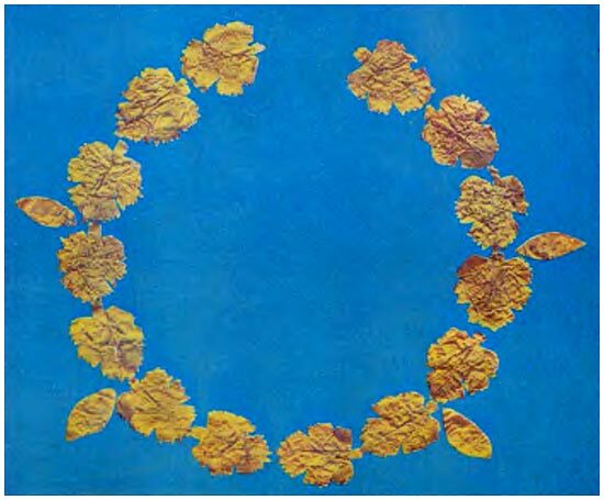 Древнейшие государства Кавказа и Средней Азии - i_013.jpg