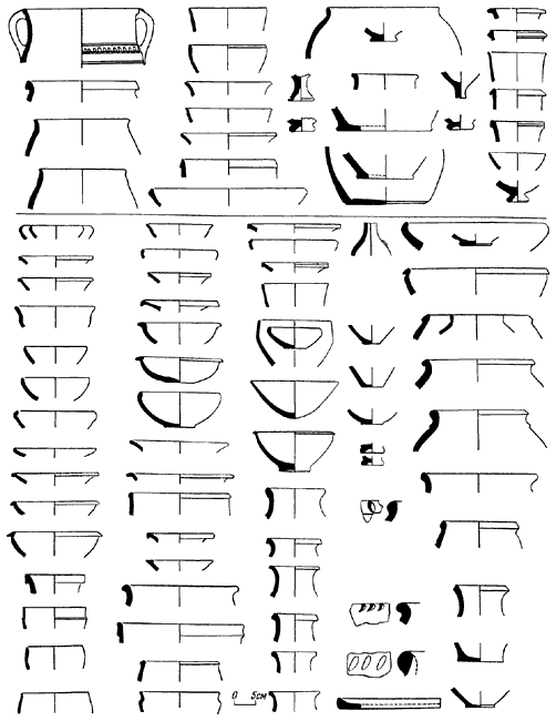 Древнейшие государства Кавказа и Средней Азии - i_147.png
