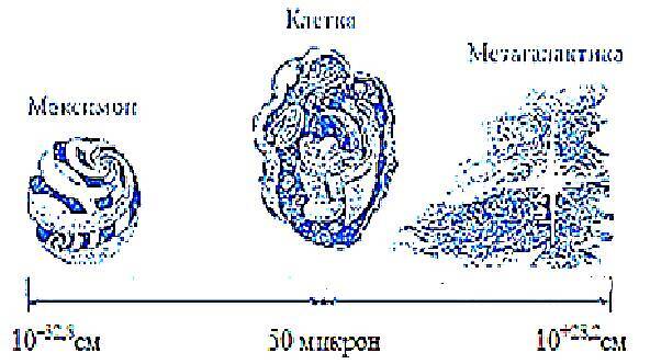 Горизонты будущего - _32.jpg