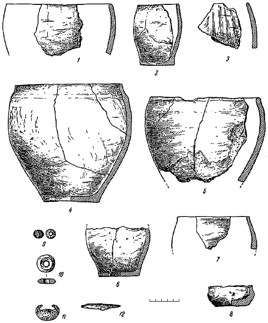 Славяне накануне образования Киевской Руси - i_196.png