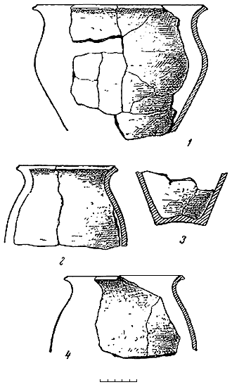 Славяне накануне образования Киевской Руси - i_209.png