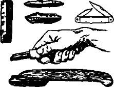 Историческое краеведение - i_005.png