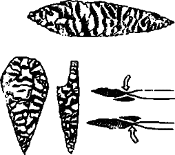 Историческое краеведение - i_006.png