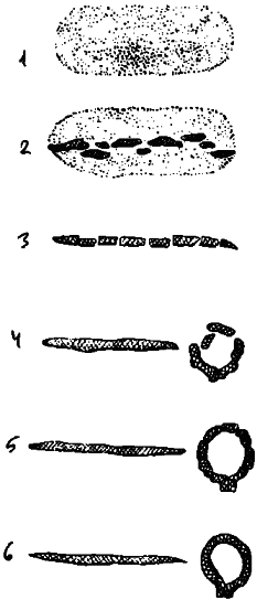 Историческое краеведение - i_011.png