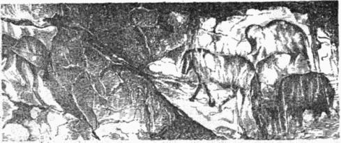 Историческое краеведение - i_050.jpg