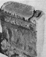 Танаис - потерянный и найденный город - i_041.jpg