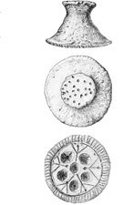 Танаис - потерянный и найденный город - i_042.jpg