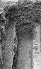 Танаис - потерянный и найденный город - i_052.jpg