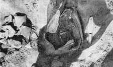 Танаис - потерянный и найденный город - i_053.jpg