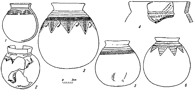 Савроматы. Ранняя история и культура сарматов - i_078.png