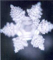 Послания воды. Тайные коды кристаллов льда - pic_80.jpg