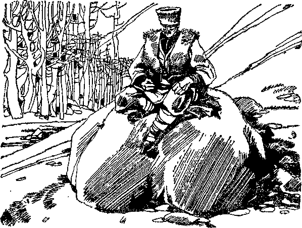 Чудо-яблочко - image70a.png