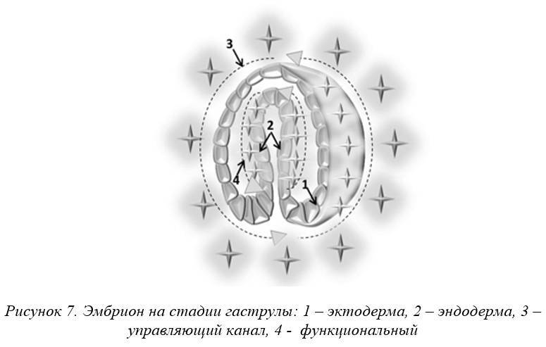 Даосские секреты зачатия - _6.jpg